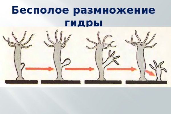 Kra9.at