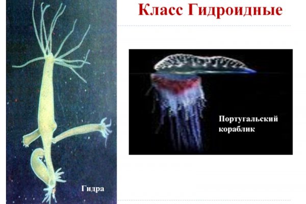Кракен наркотики россия