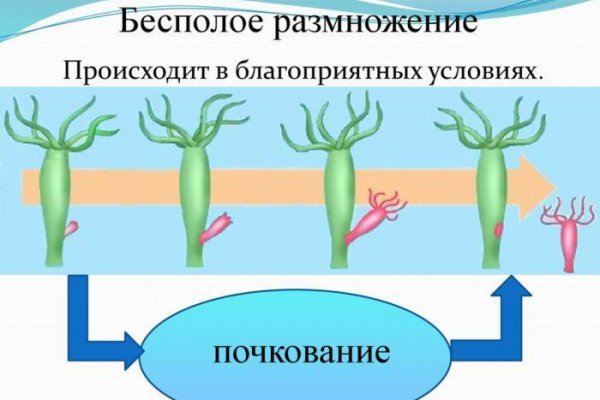 Сайт kraken darknet