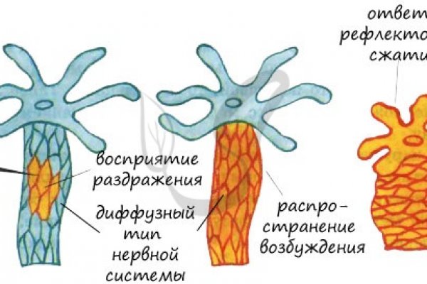 Kra34cc